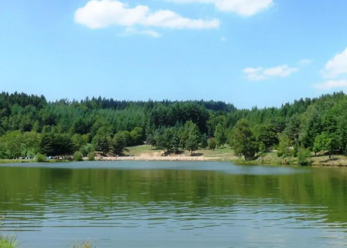 Mobil-home Confortable 4 Pers, Separees, Salon De Jardin Et Barbecue - Api-1-52-1348 Campsite Champagnac-le-Vieux