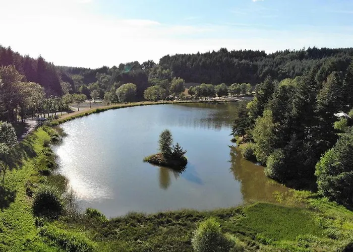 Campsite Mobil-home Confortable 4 Pers, Separees, Salon De Jardin Et Barbecue - Api-1-52-1348 Champagnac-le-Vieux